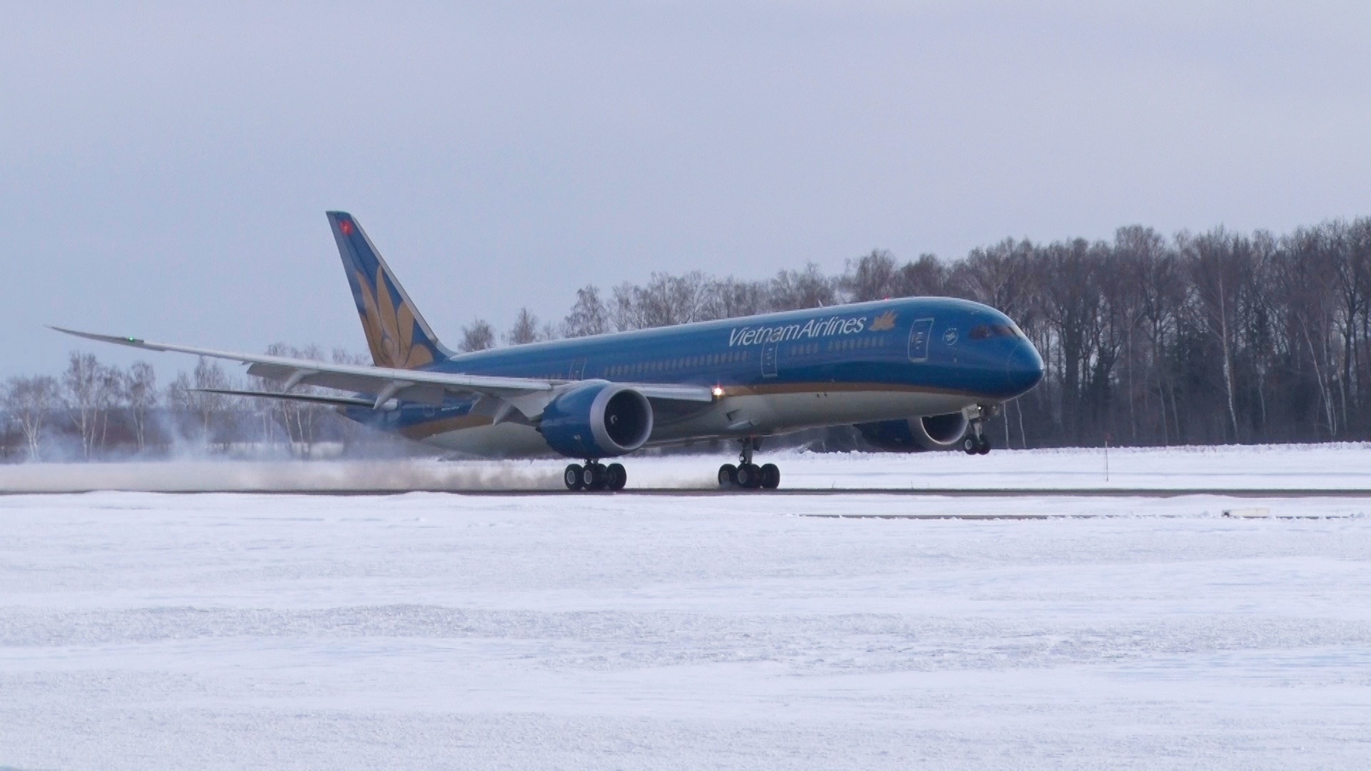May bay Vietnam Airlines ha canh khan cap vi khach dau bung hinh anh