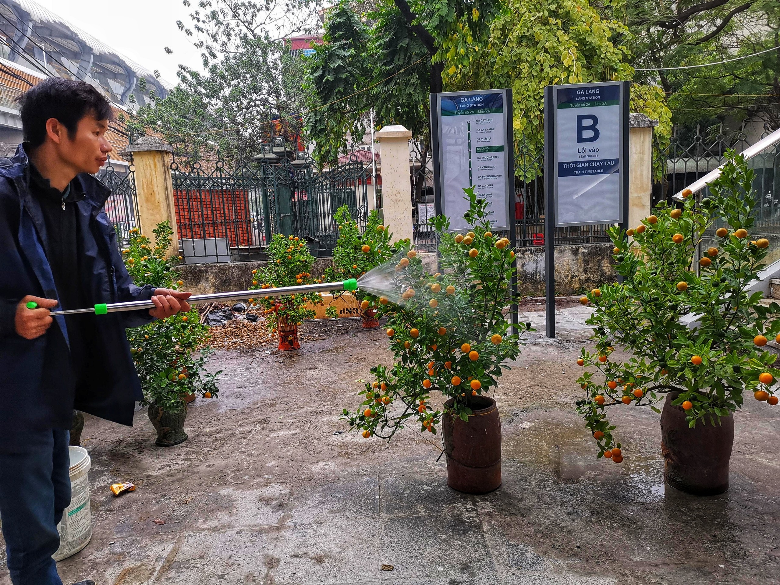 kinh doanh via he Cat Linh - Ha Dong anh 7