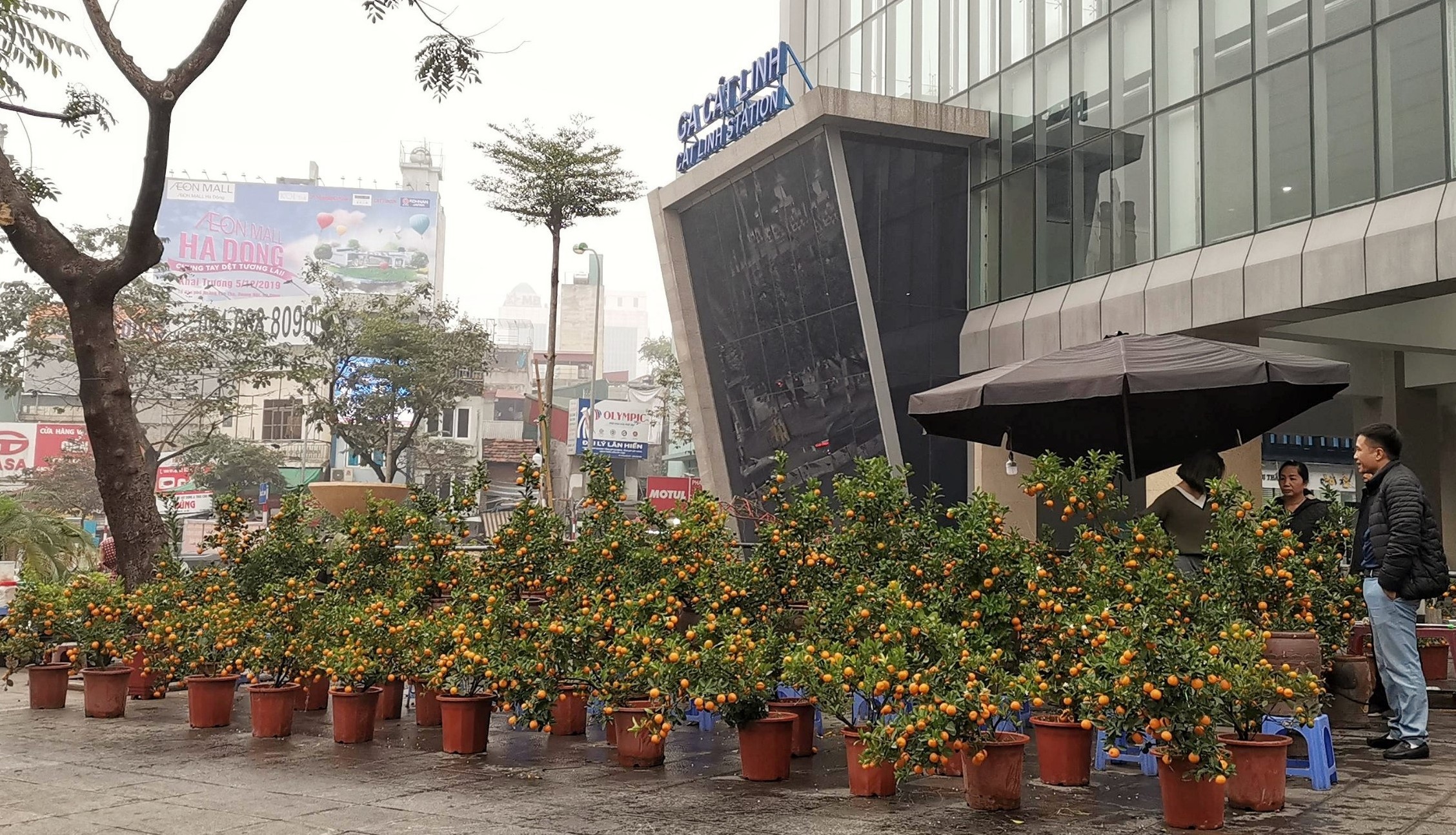 Duong sat Cat Linh chua hoat dong, nha ga thanh cho cay canh Tet hinh anh