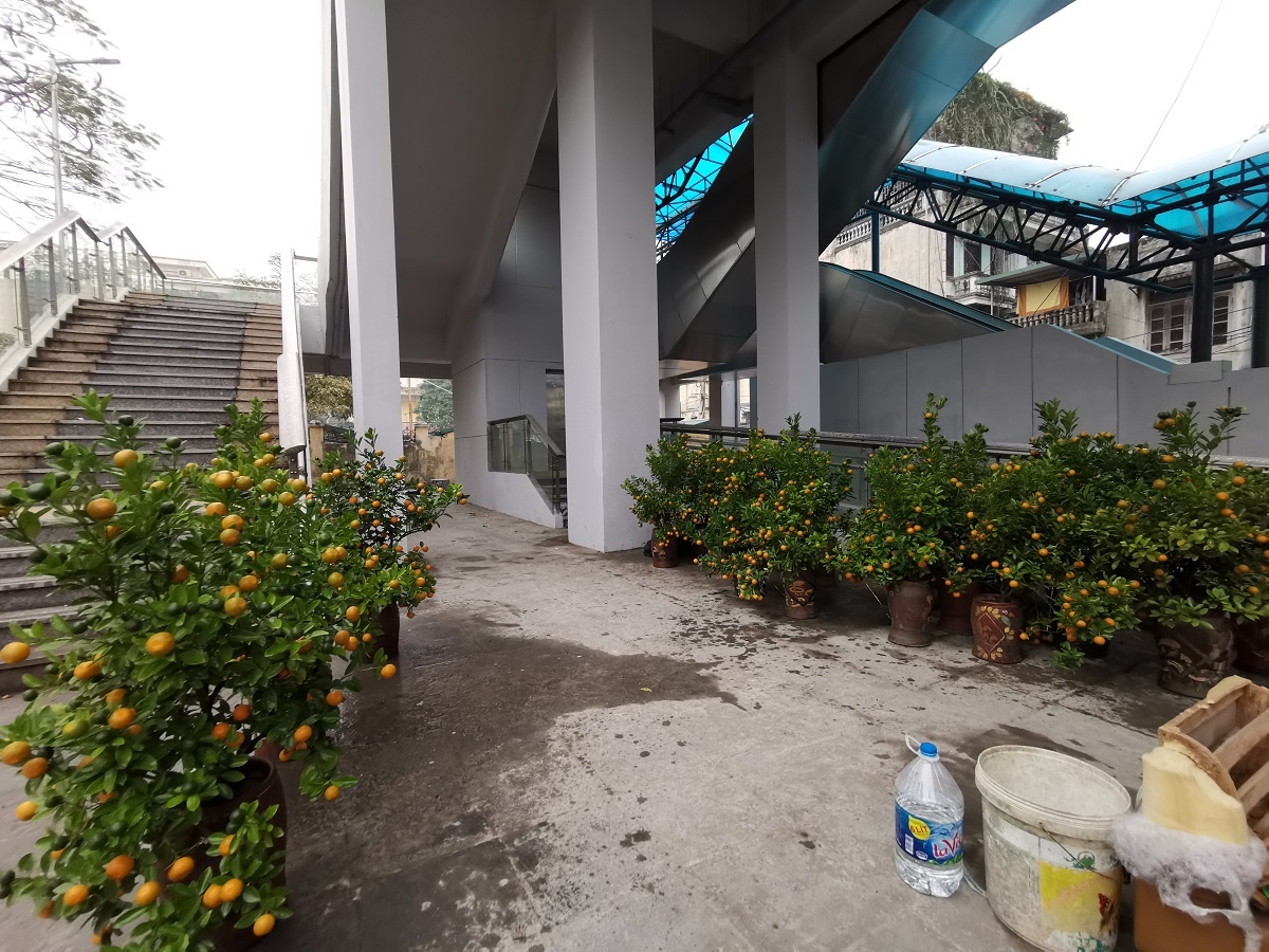 kinh doanh via he Cat Linh - Ha Dong anh 8