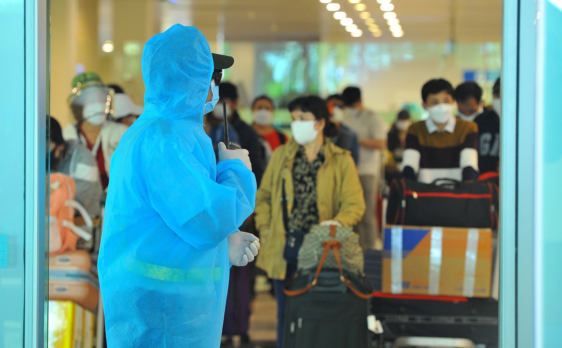 Dung dua nguoi Viet tu nuoc ngoai ve Tan Son Nhat trong 1 tuan hinh anh