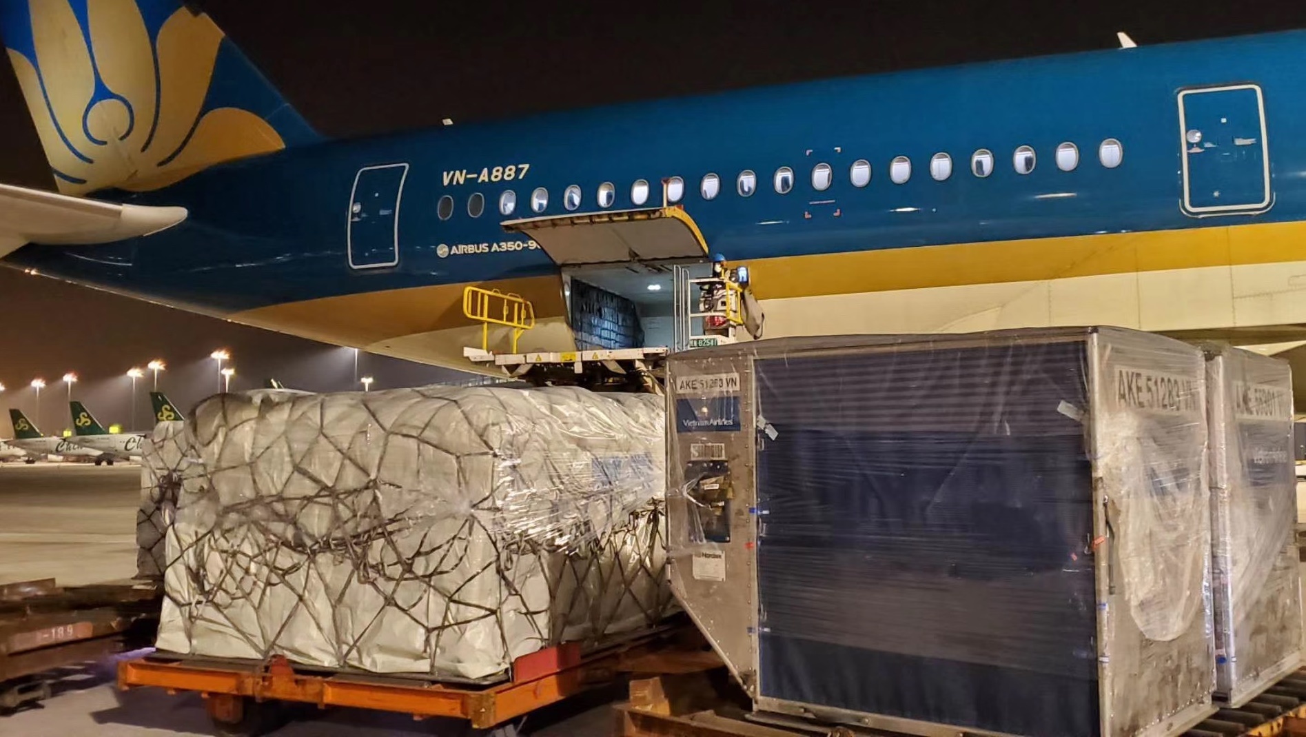 B787, A350 thanh may bay chuyen cho hang trong mua dich hinh anh