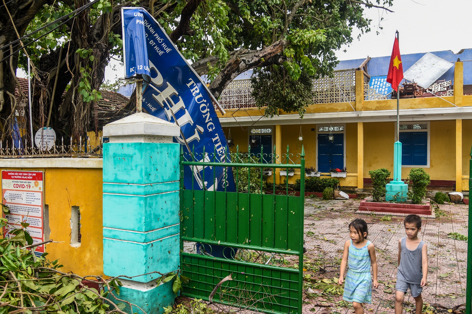 Truong tieu hoc toc mai anh 2