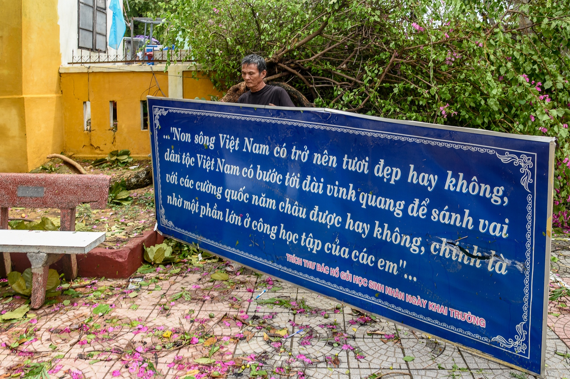 Truong tieu hoc toc mai anh 4