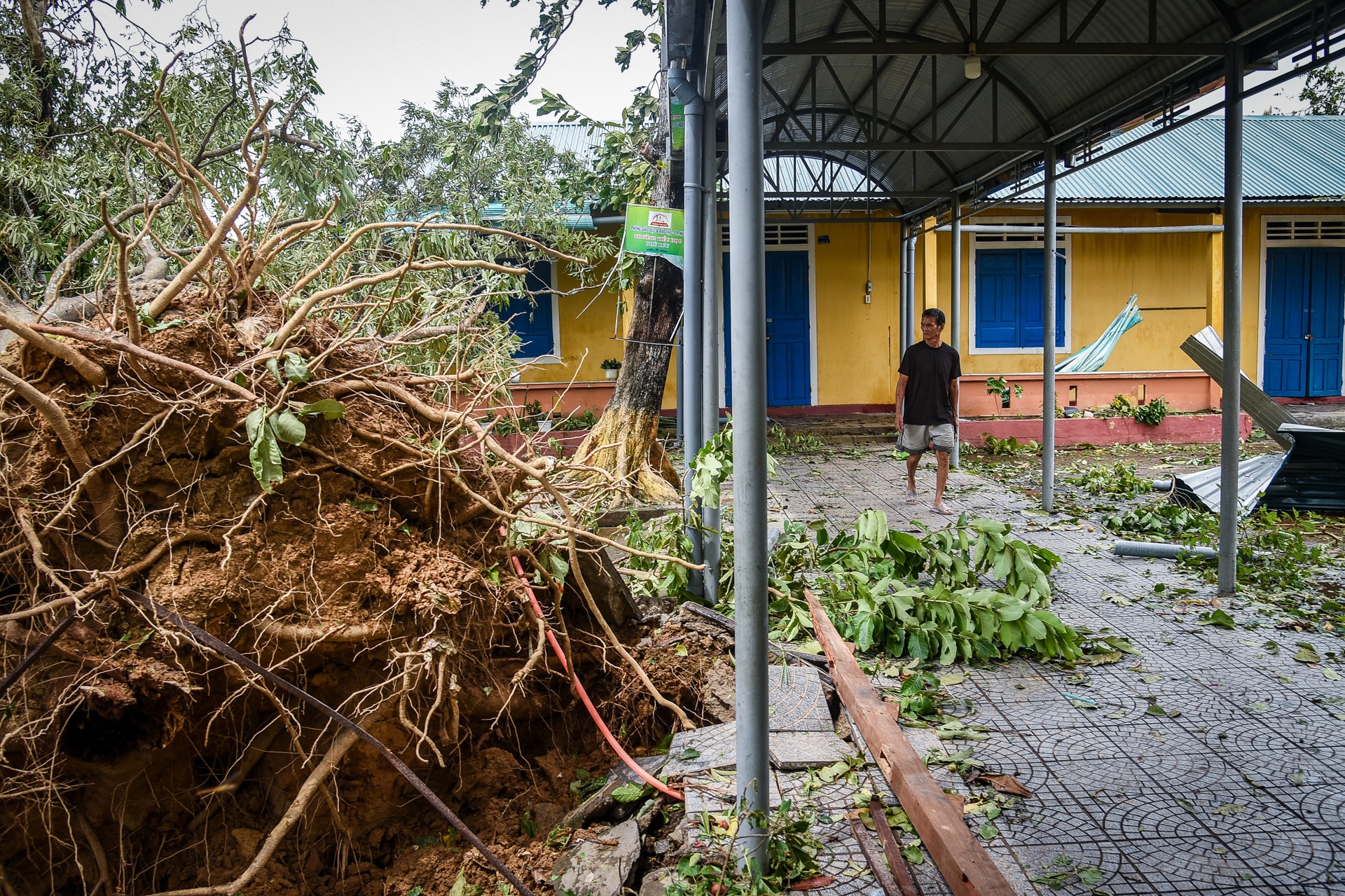 Truong tieu hoc toc mai anh 6