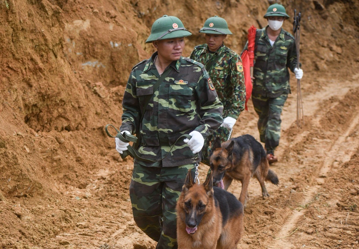 Tim kiem nan nhan tai Tra Leng phuc tap the nao? hinh anh