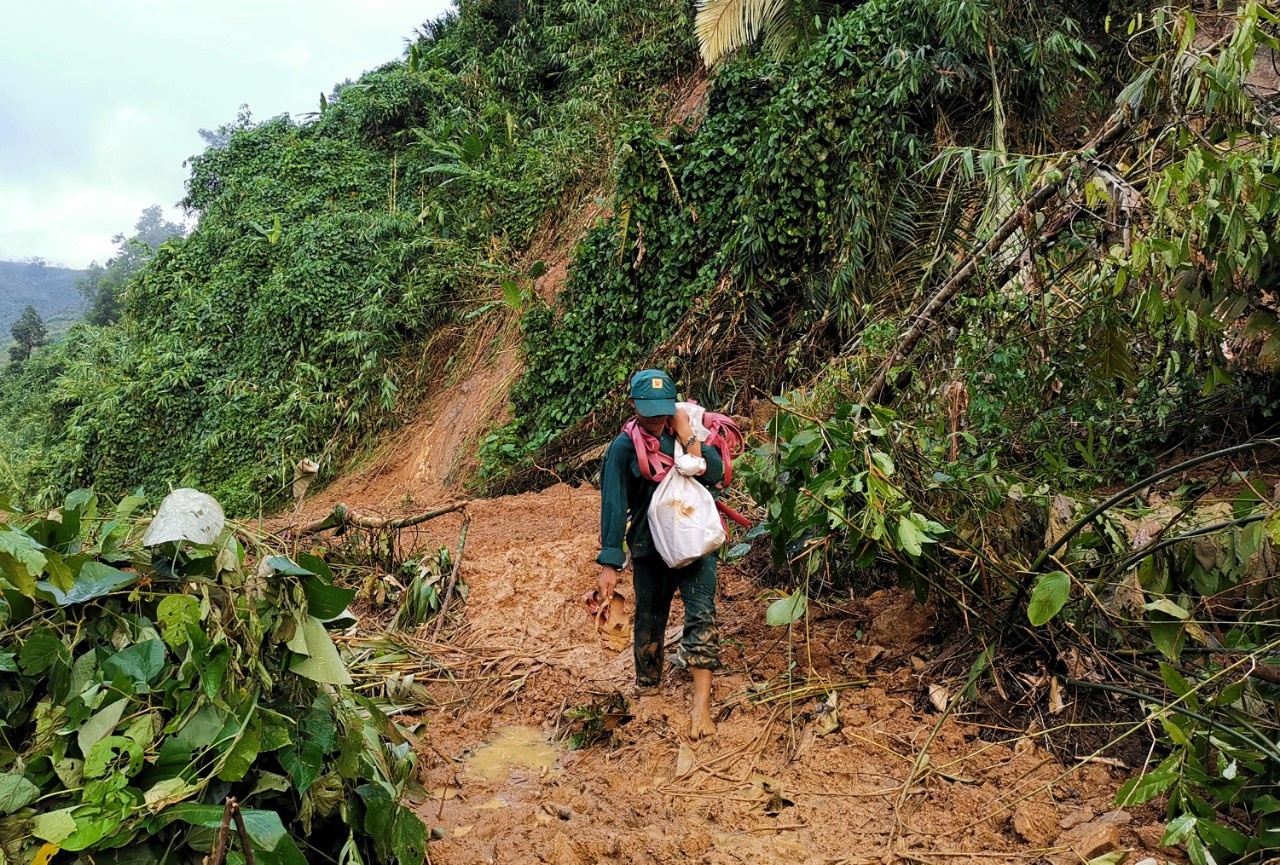 so tan tranh bao so 10 anh 1