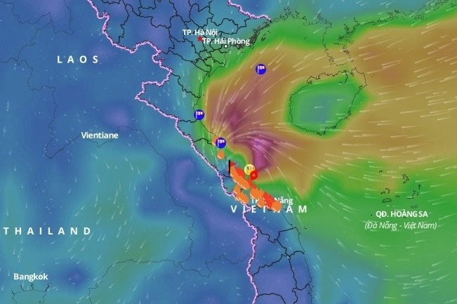 5 nguoi bi thuong do bao Vamco hinh anh