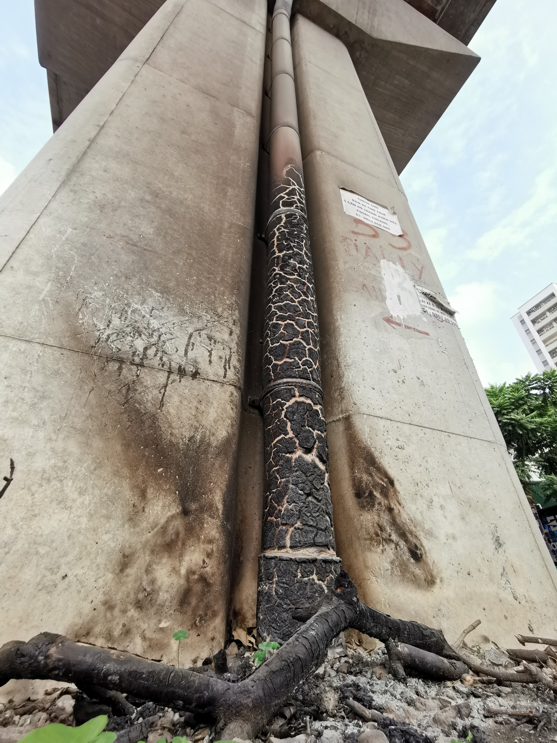 Cat Linh - Ha Dong hu hong anh 4