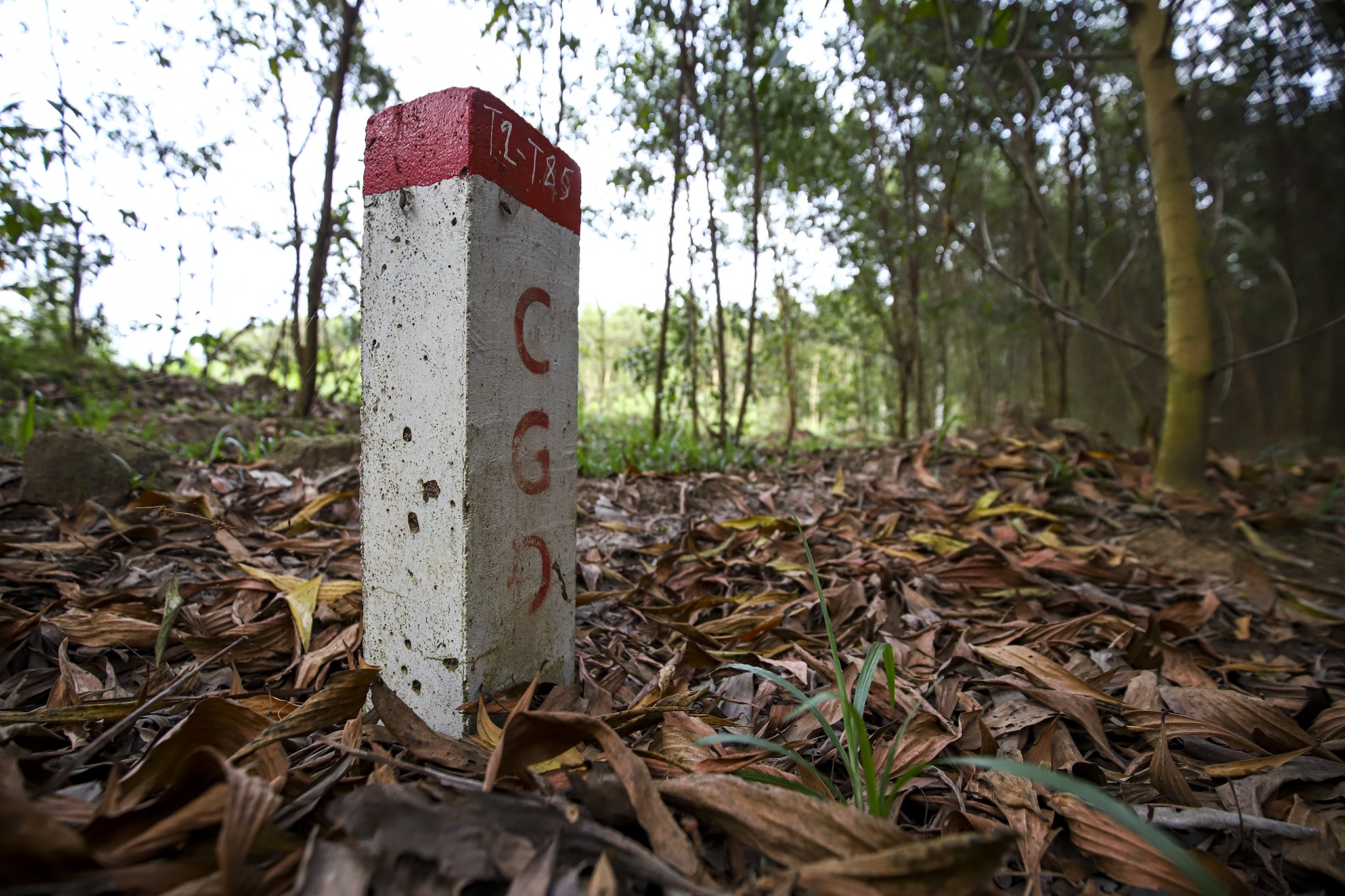 bom min san bay Long Thanh anh 8