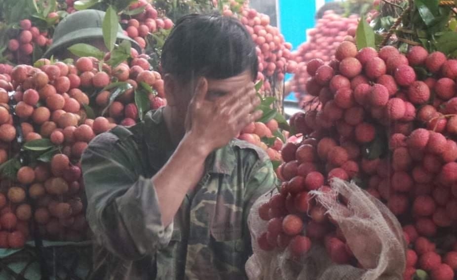 'Khong co chuyen vai Bac Giang bi ep gia 2.000 dong/kg' hinh anh