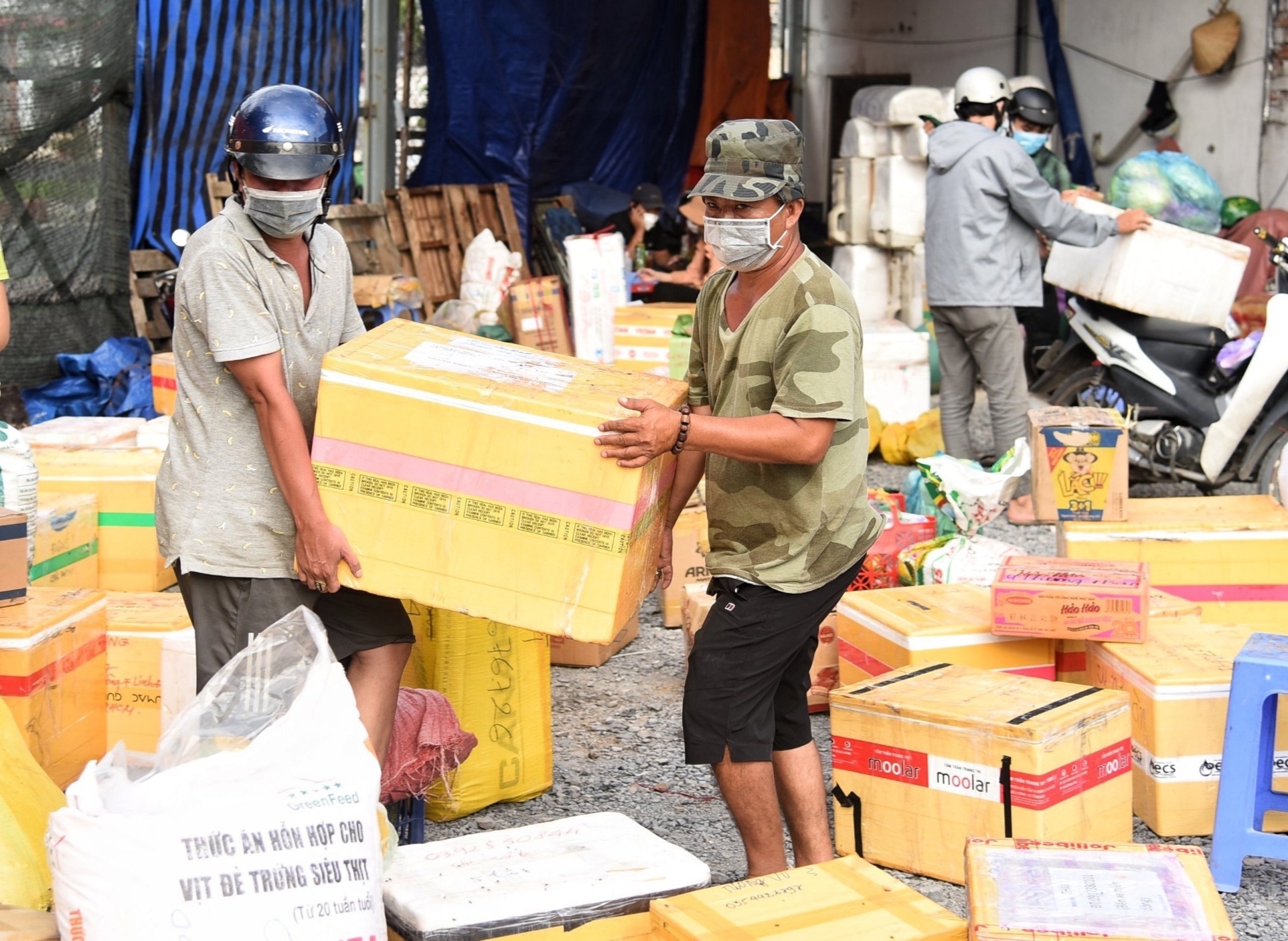 mua thuc pham gian cach xa hoi anh 2