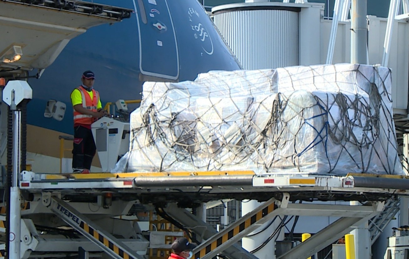 Dua 6,2 tan hang y te tu My ve Viet Nam hinh anh