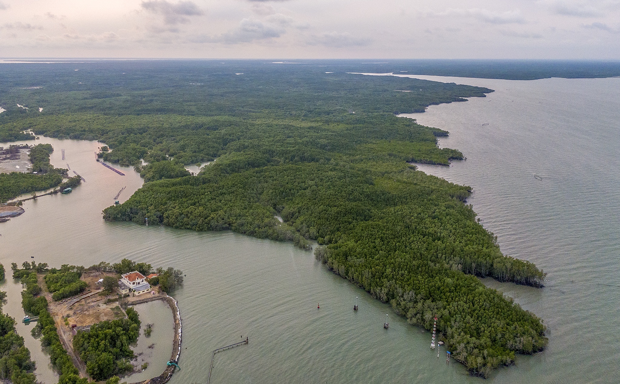 Can Gio thi diem don doan khach du lich dau tien vao sang 19/9 hinh anh