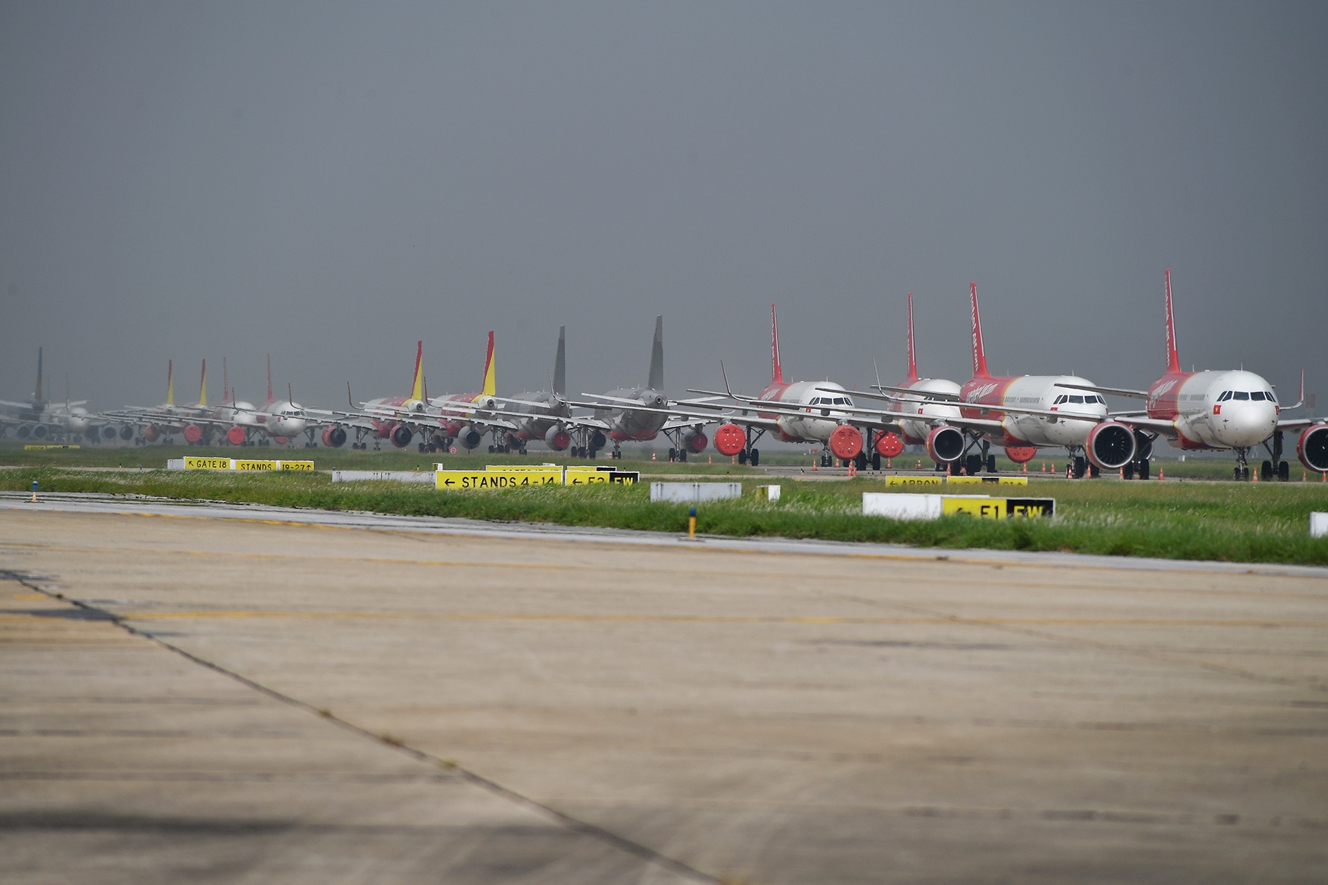 bay tet Quy Mao anh 1