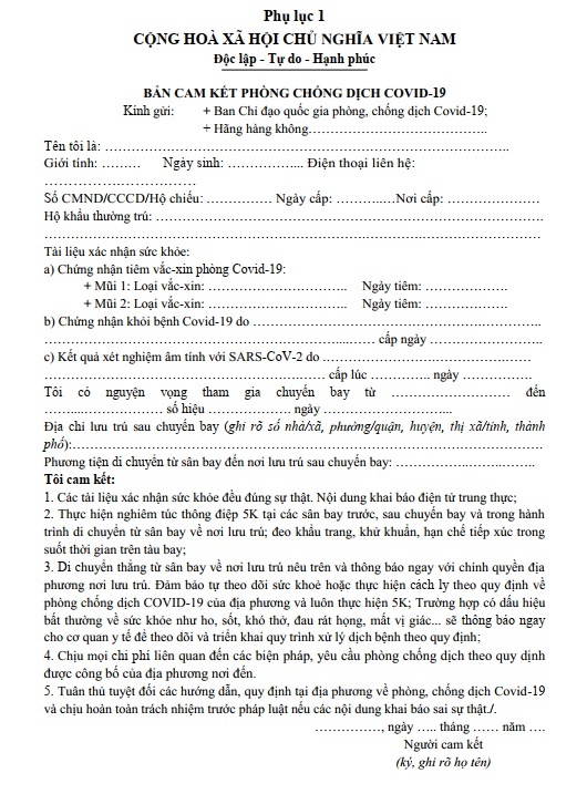 khoi phuc duong bay noi dia anh 2