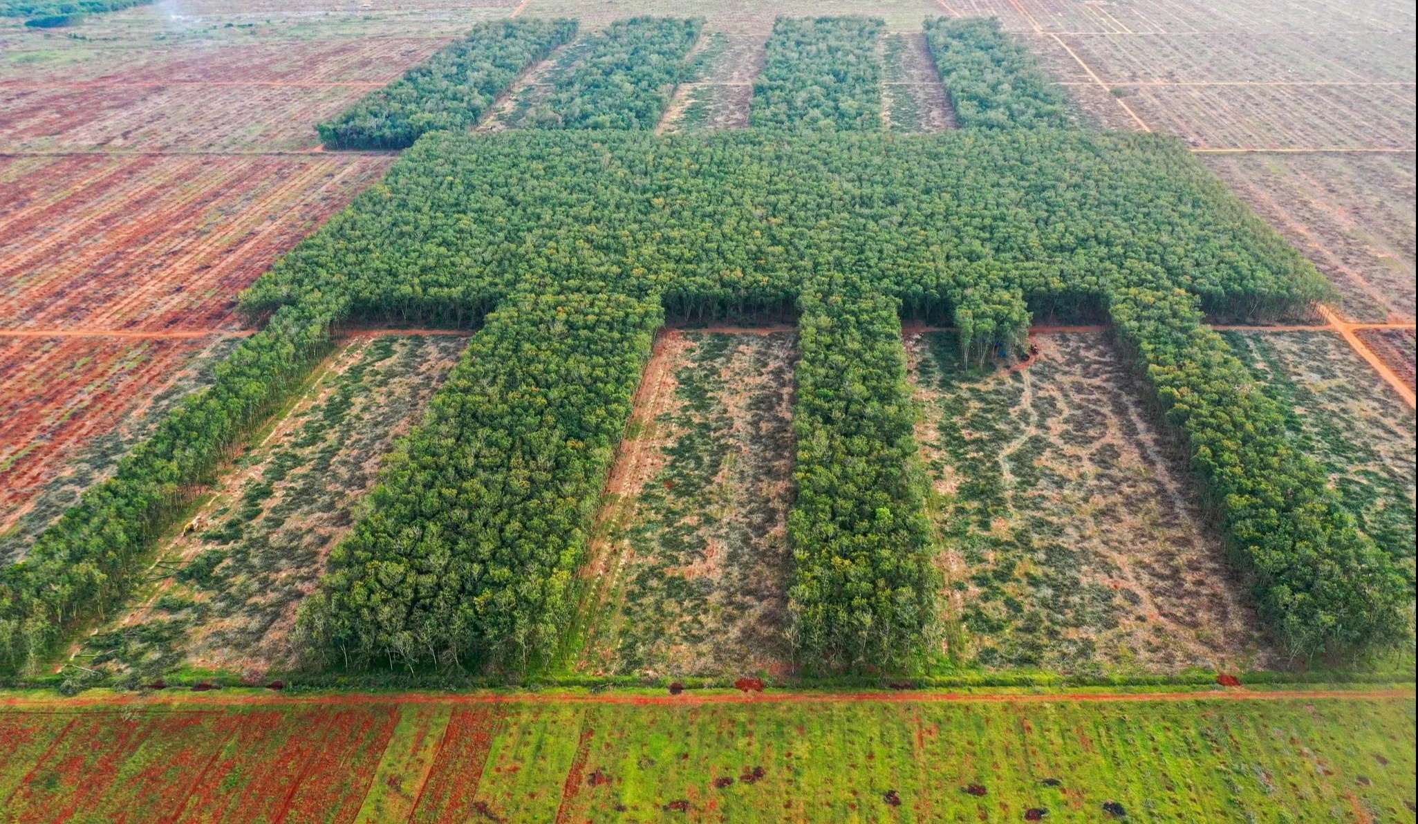 Lap ban chi dao trien khai du an san bay Long Thanh hinh anh
