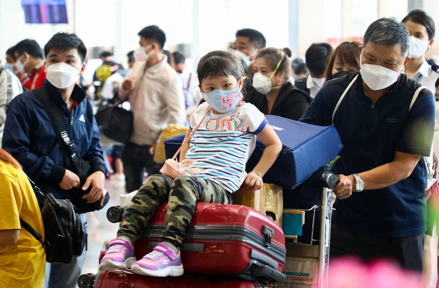 Cuc Hang khong de nghi So GTVT TP.HCM phoi hop giam un tac san bay hinh anh