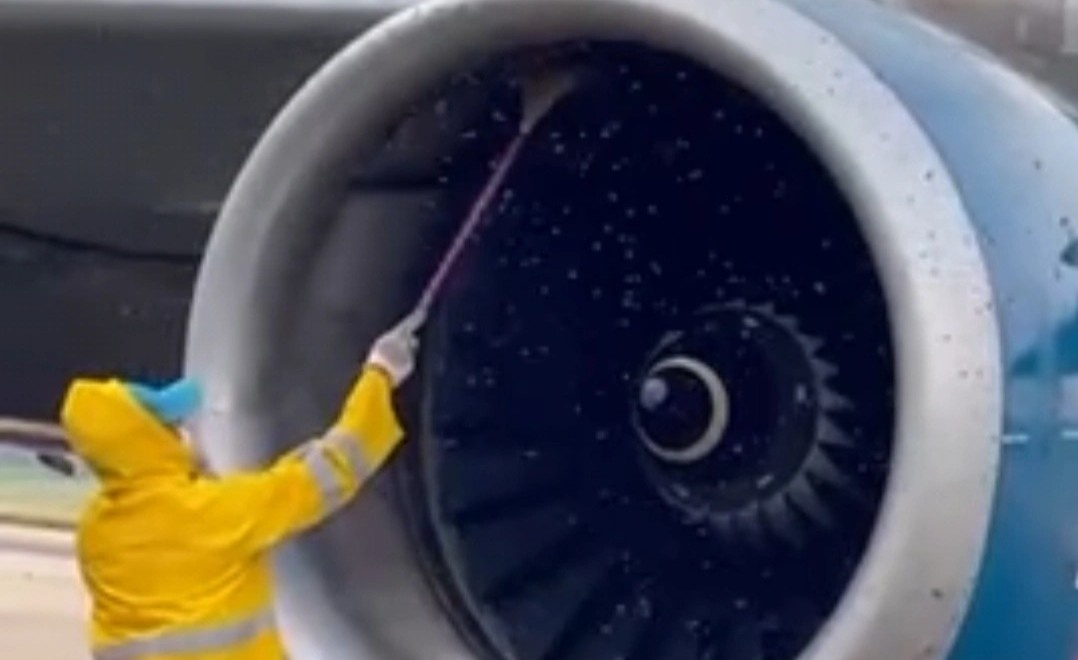 May bay Vietnam Airlines cham khoi hanh vi dan ong lot vao dong co hinh anh