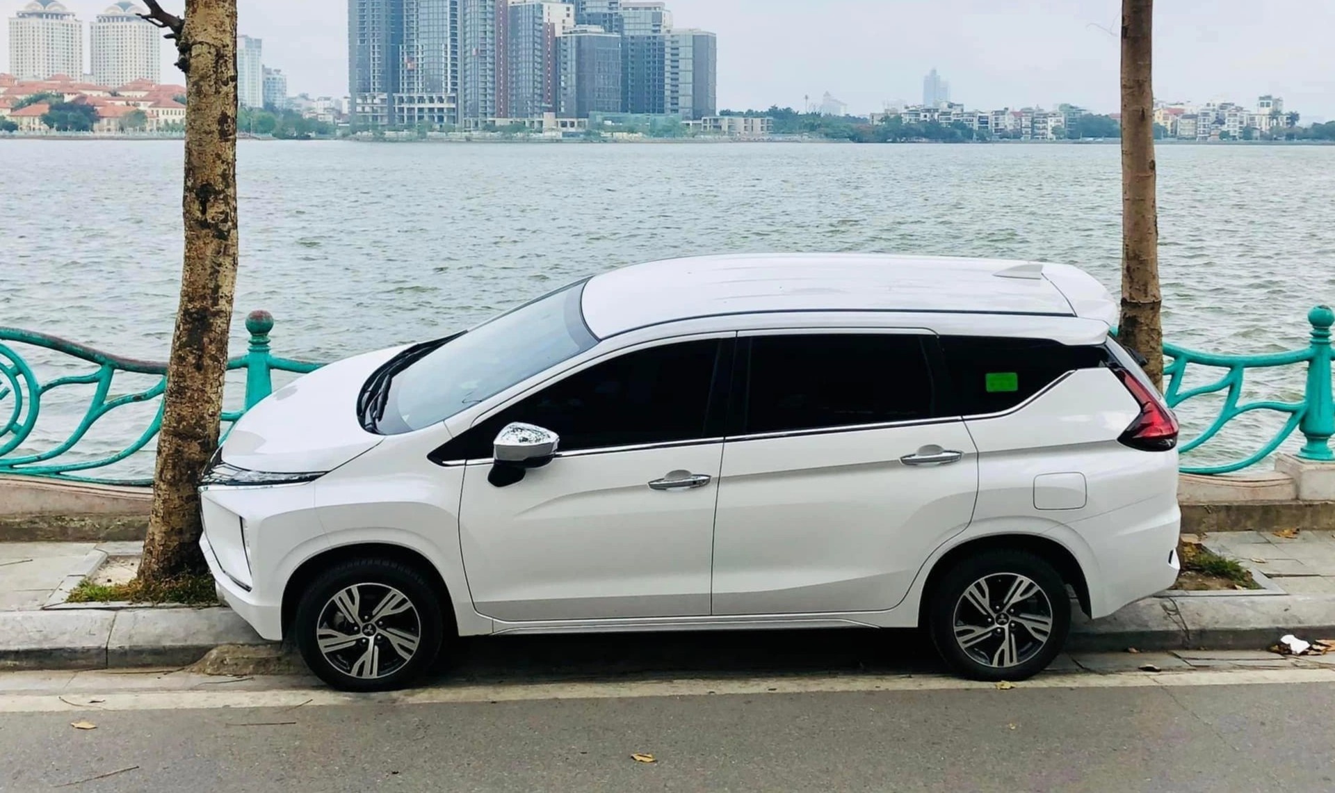 Tai xe do xe vua khit giua 2 goc cay ven ho Tay 'chi muon bieu dien' hinh anh