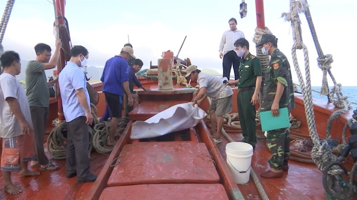 Phat hien tau ca van chuyen dau trai phep tren vung bien Tay Nam hinh anh