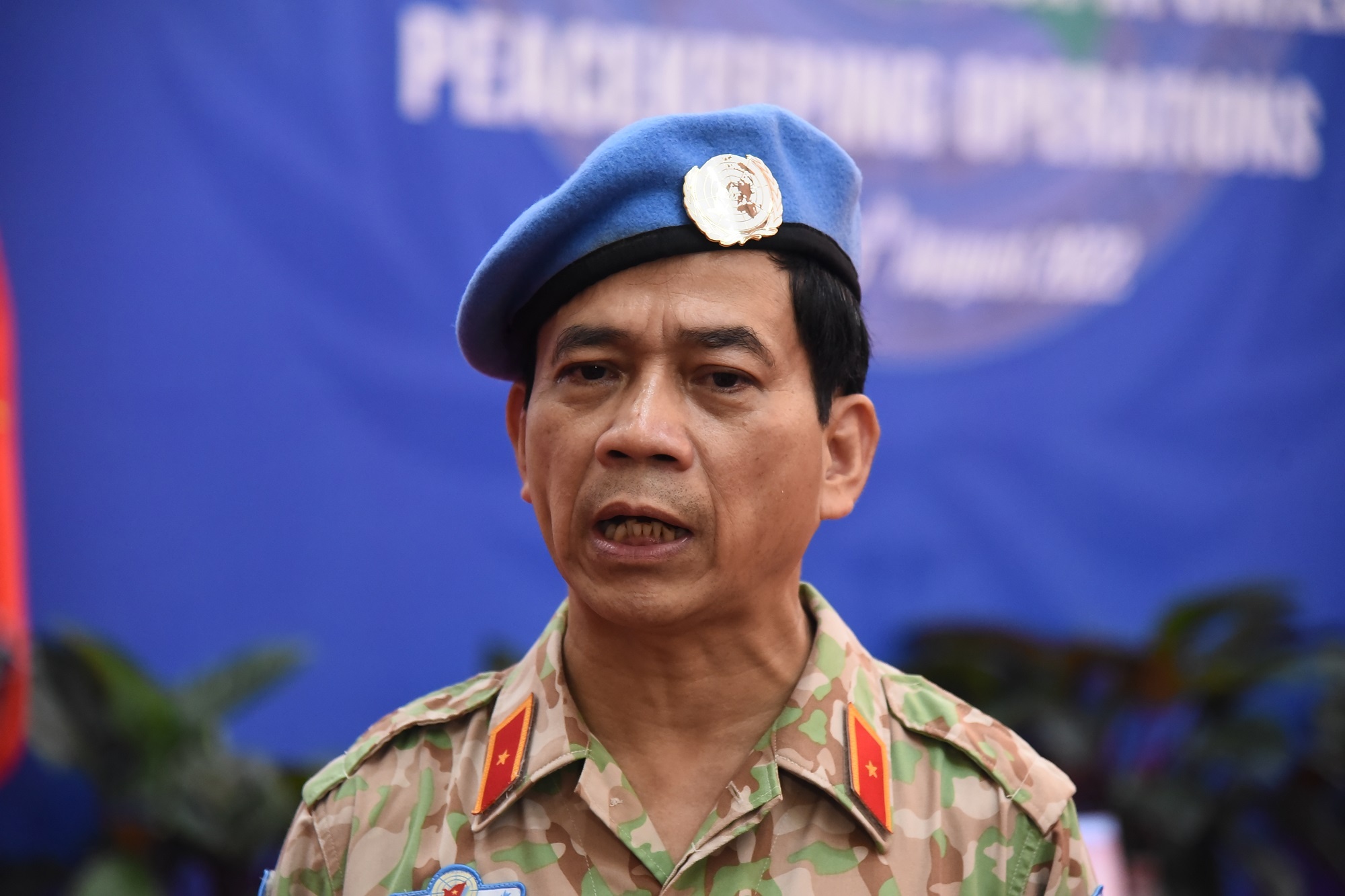 gin giu hoa binh anh 4