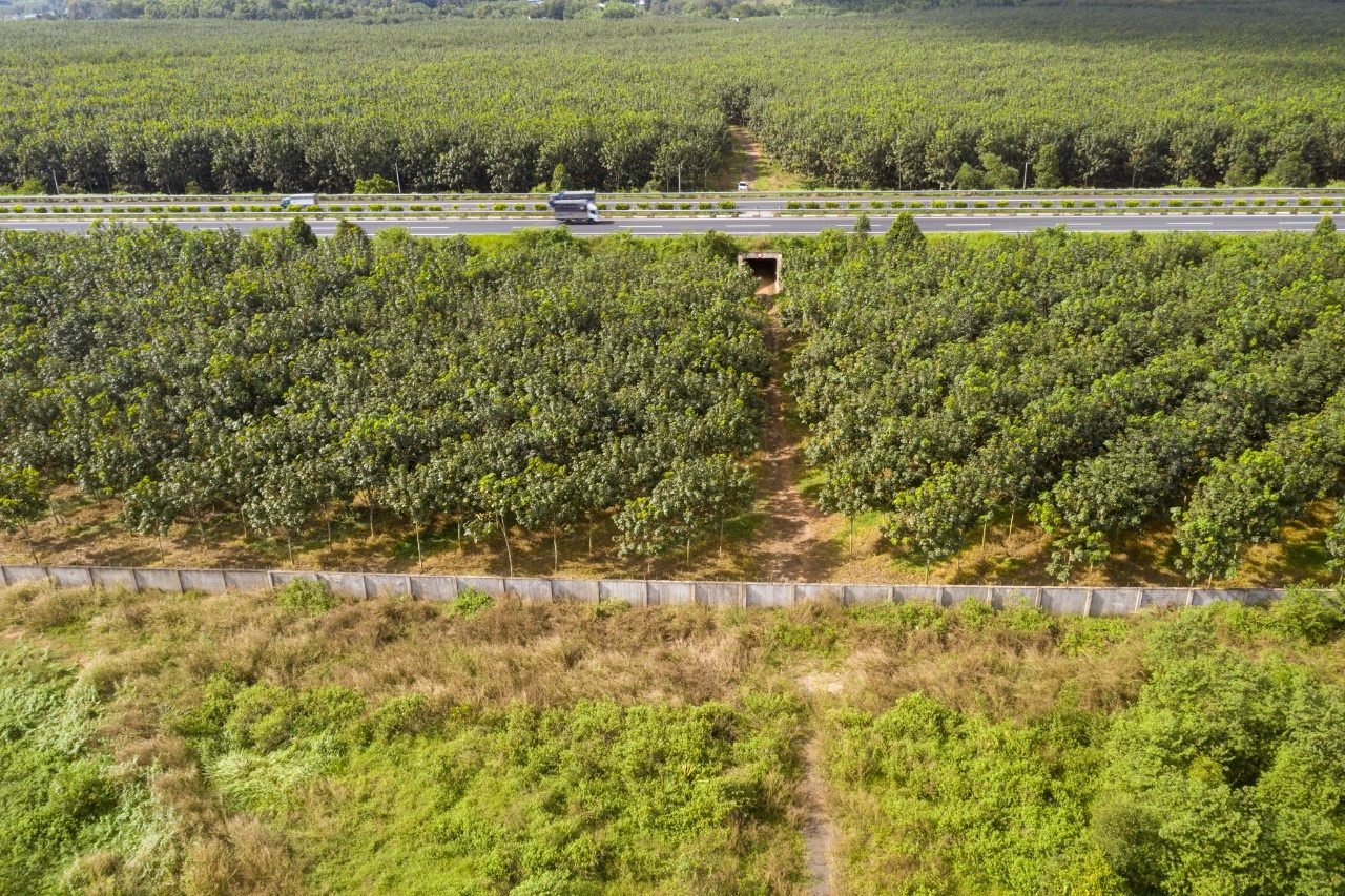 san bay Long Thanh anh 7