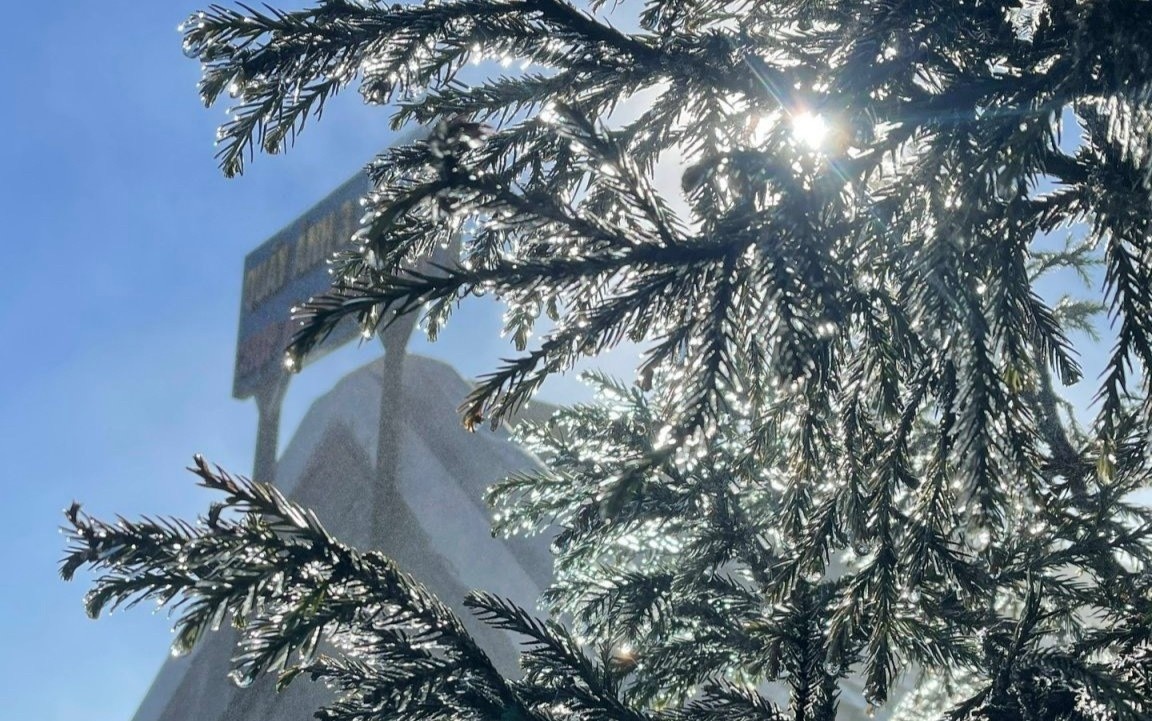 Fansipan bang gia anh 1