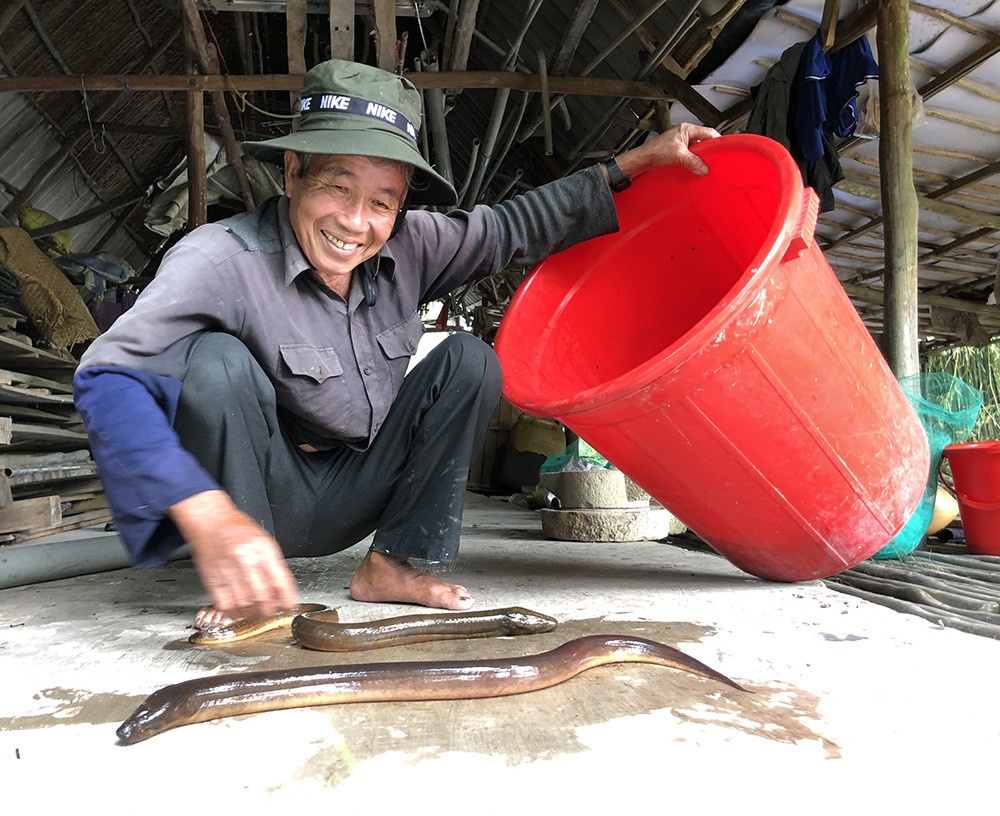 rung U Minh Ha anh 4