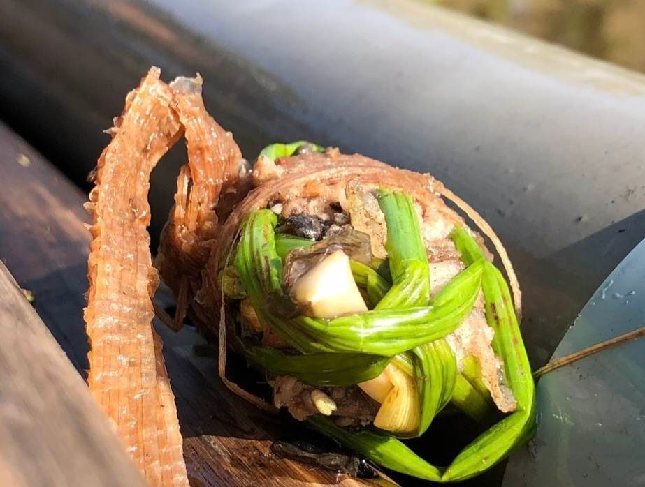 rung U Minh Ha anh 2