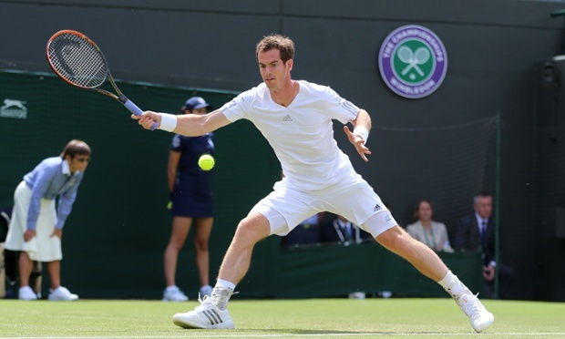 Highlight Wimbledon 2014: Murray 3-0 Rola hinh anh