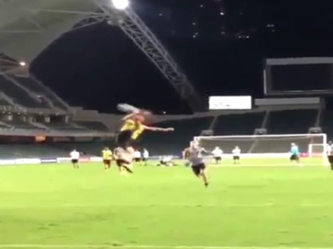 Ibrahimovic tung cuoc ghi ban 'bo cap bay' hinh anh