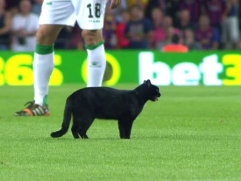 San Nou Camp don vi khach khong moi hinh anh