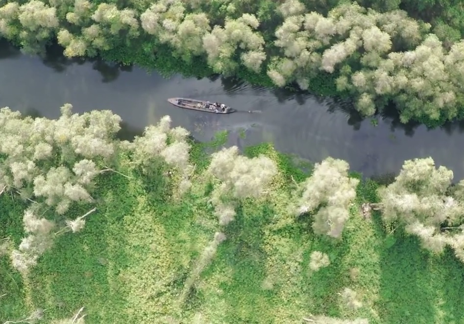 Suc hut cua khu du lich sinh thai Tram Chim hinh anh