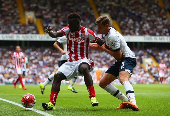 Tong hop tran dau: Tottenham 2-2 Stoke City hinh anh