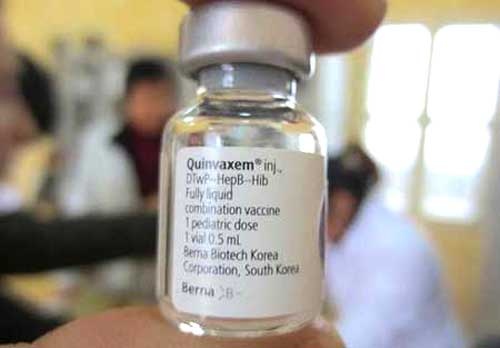 'Vac xin Quinvaxem van an toan' hinh anh