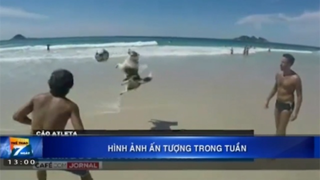 Nhung hinh anh the thao an tuong nhat tuan hinh anh