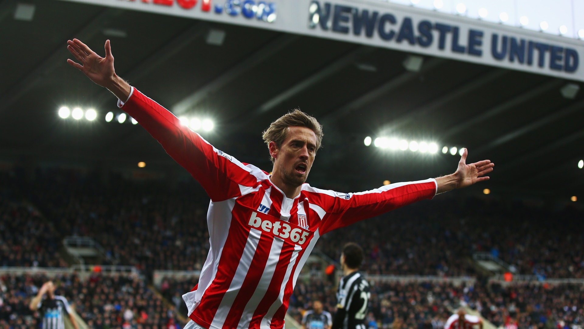 ngoai hang anh anh 6