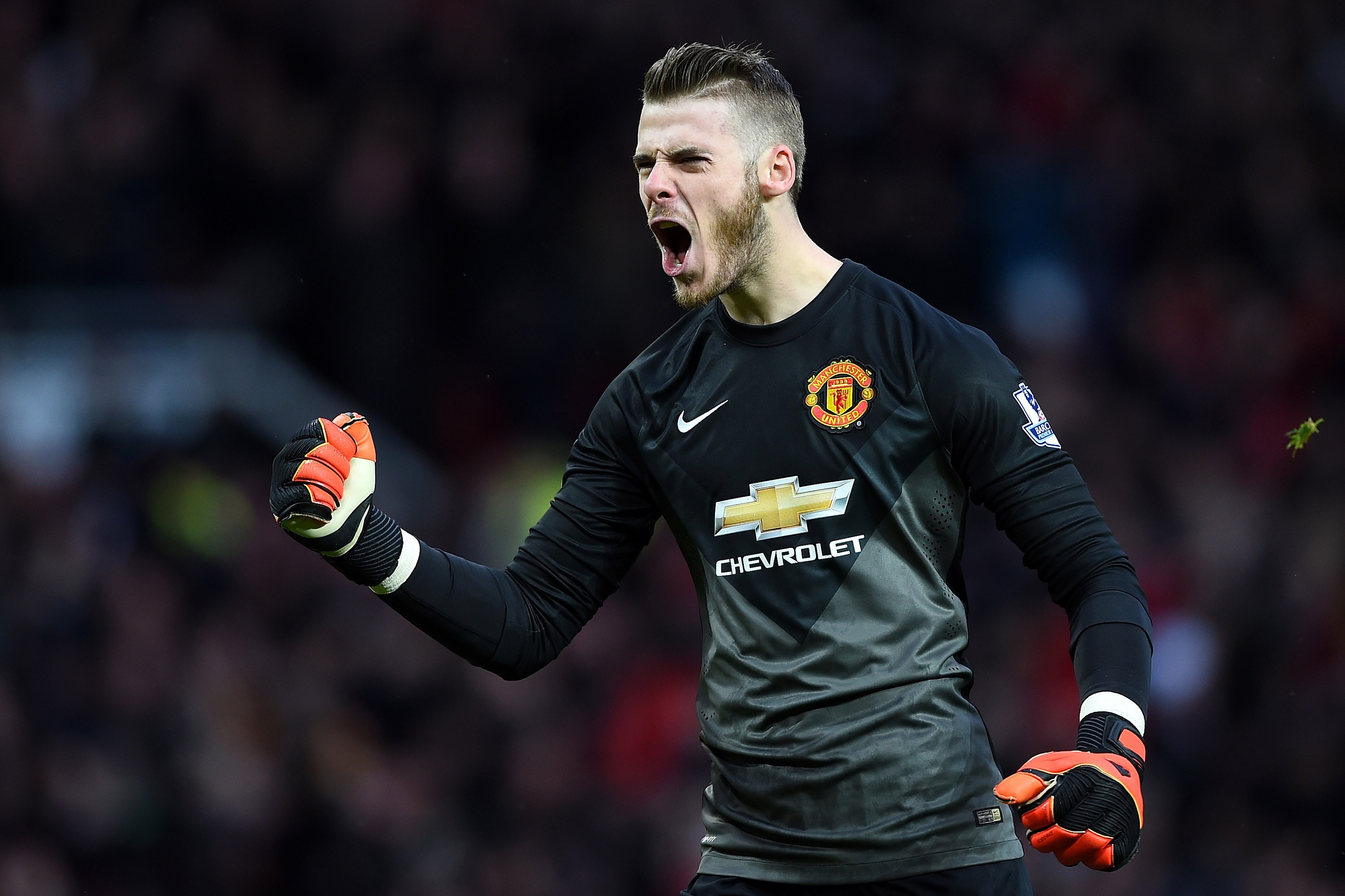 De Gea anh 2