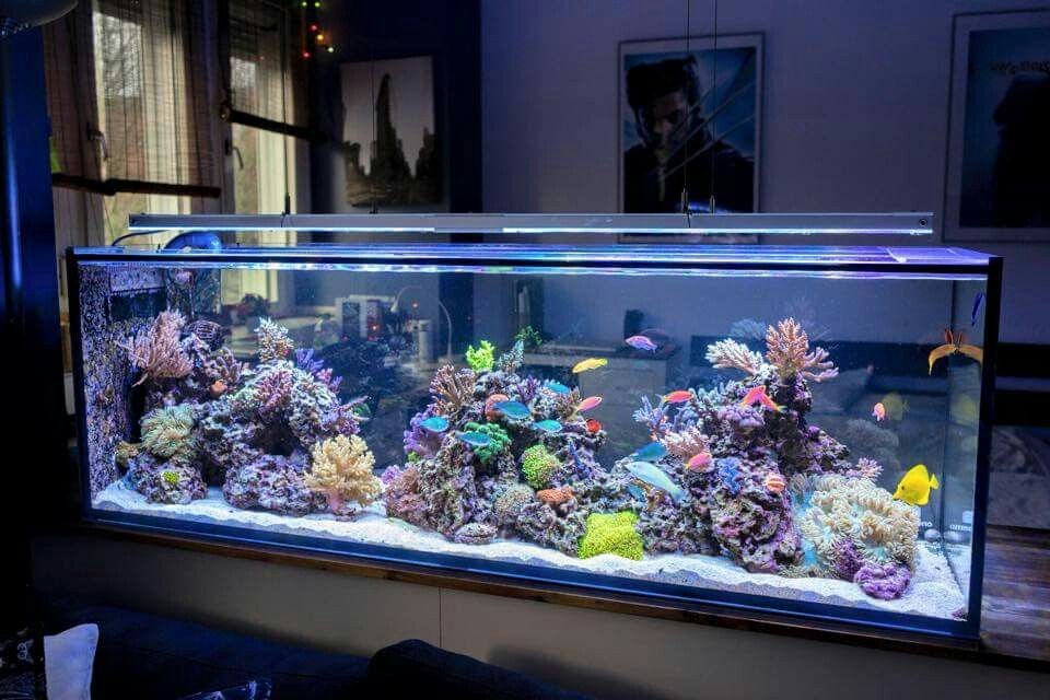 vat dung lam cham ket noi wifi anh 5