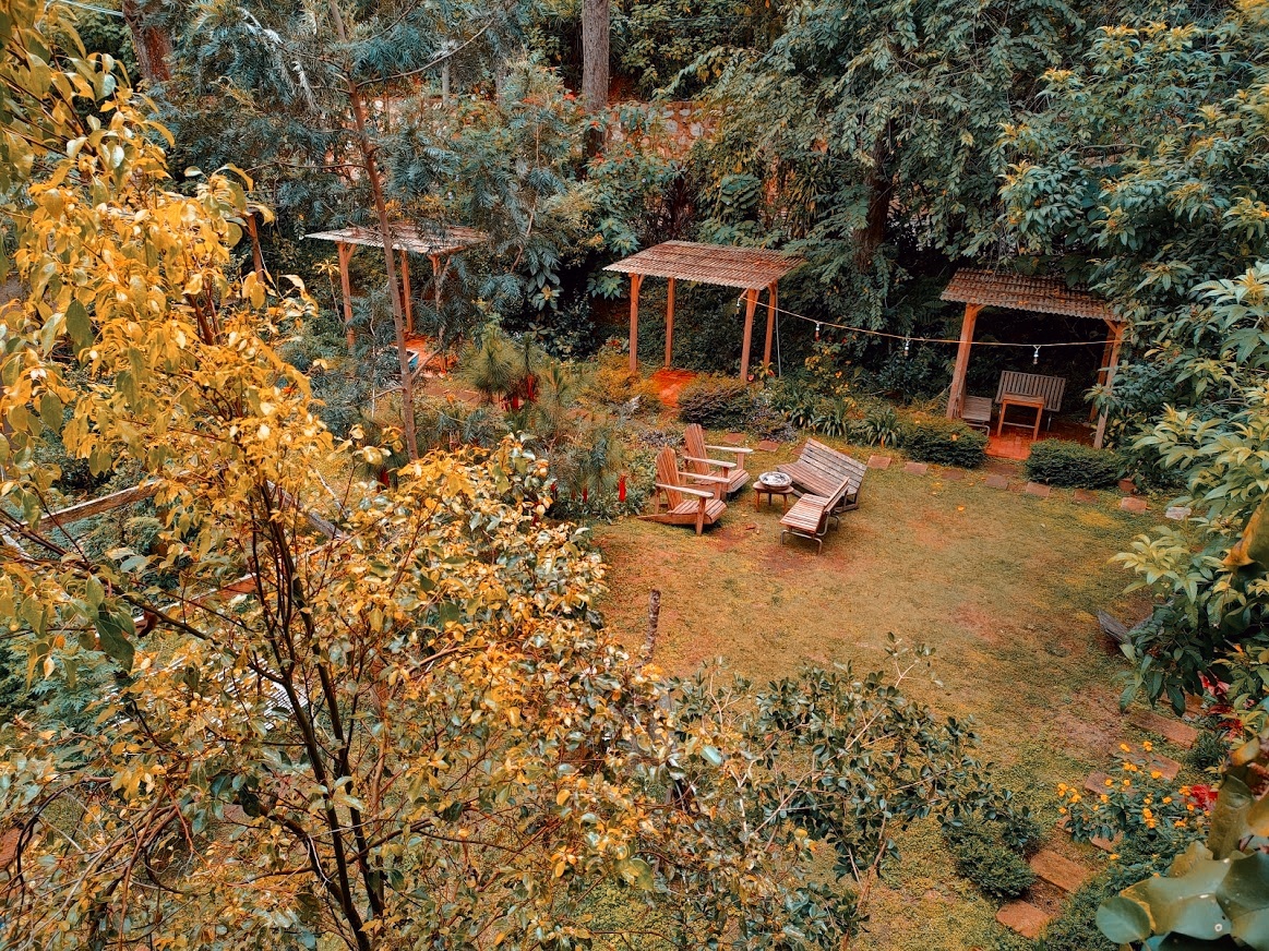 chỉnh ảnh chuyên nghiệp với reno6 ảnh 9 chinh anh chuyen nghiep voi reno6 anh 9