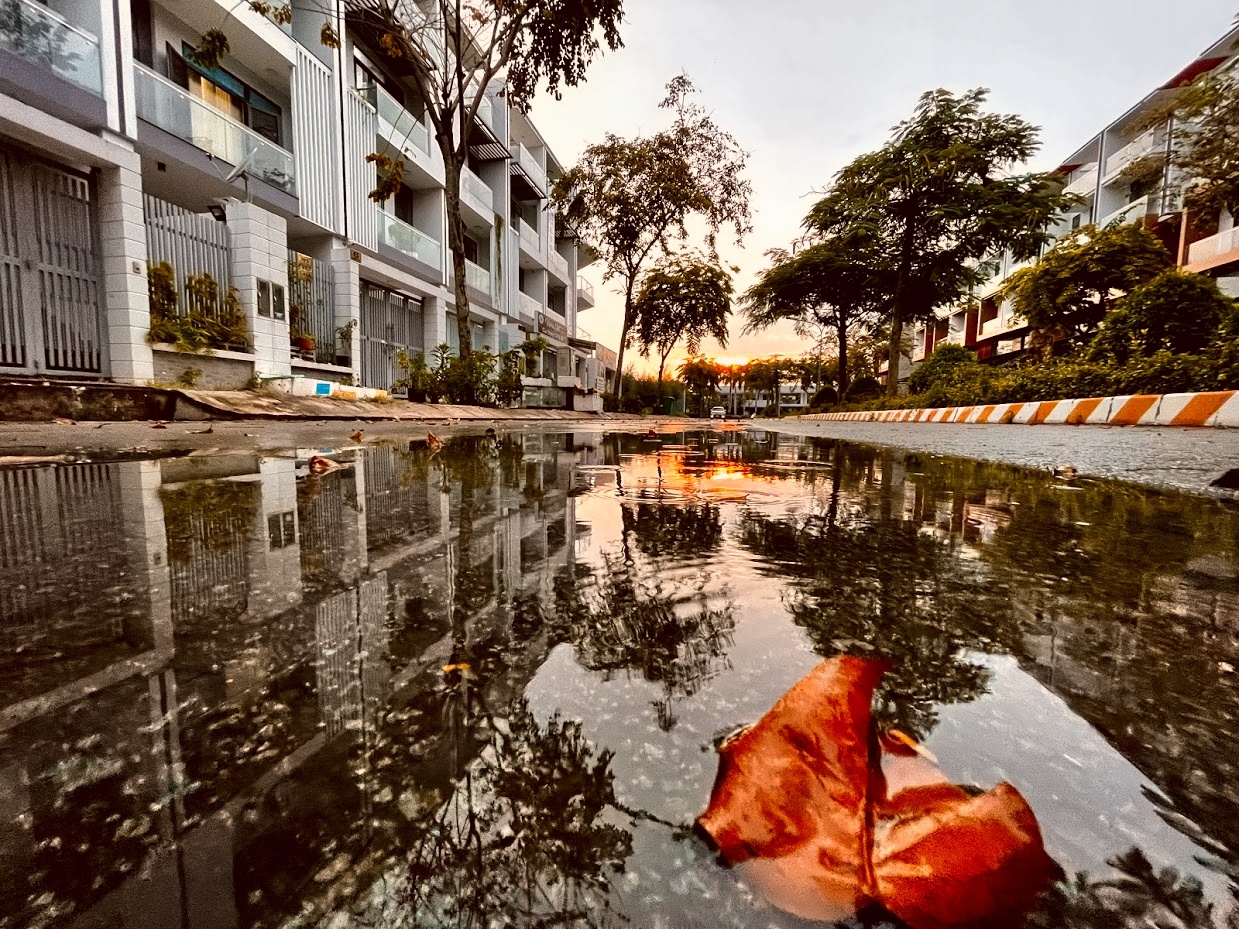 chỉnh ảnh chuyên nghiệp với reno6 ảnh 11 chinh anh chuyen nghiep voi reno6 anh 11