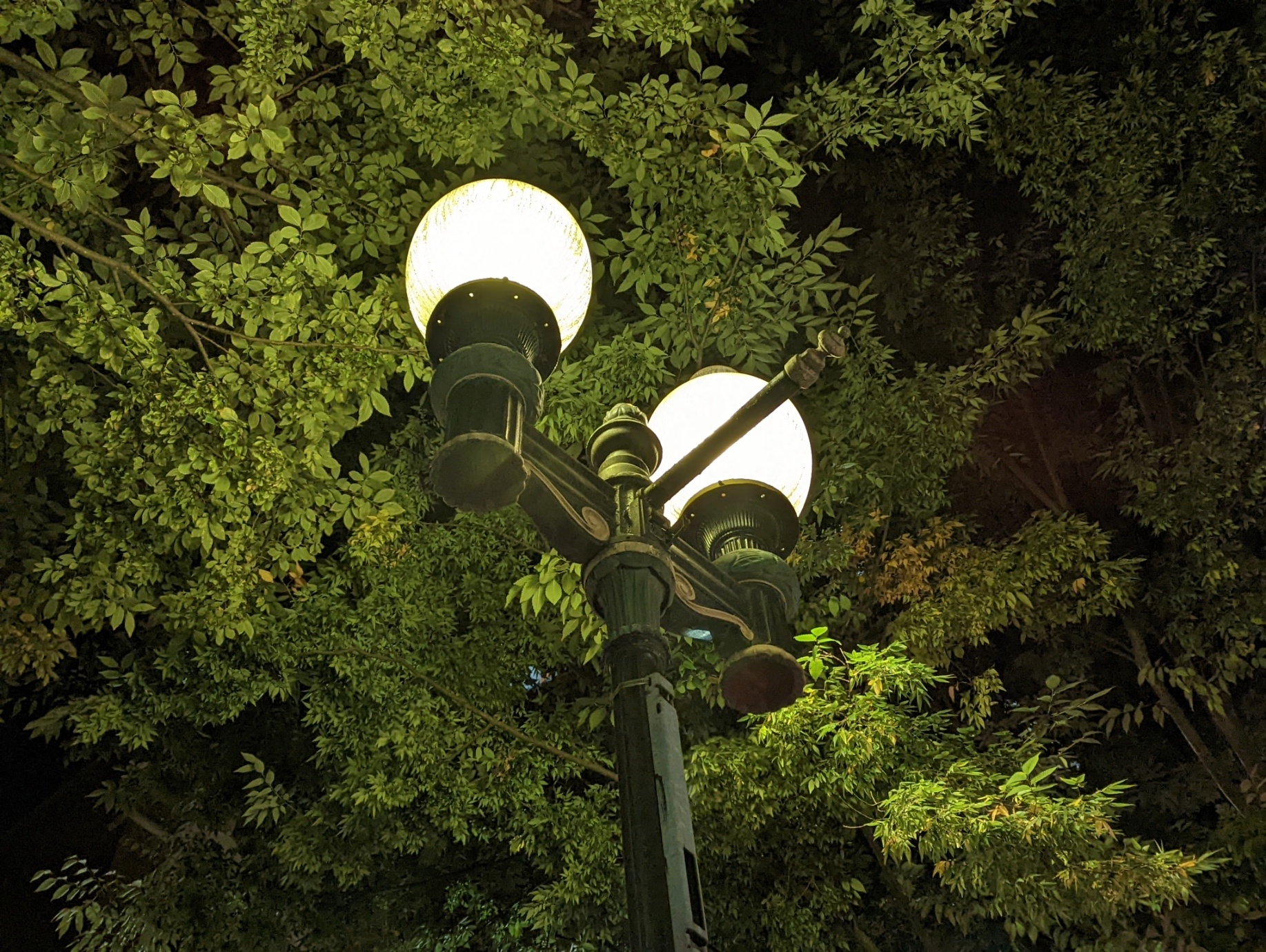 Nhung danh gia dau tien ve Pixel 6 va Pixel 6 Pro anh 7