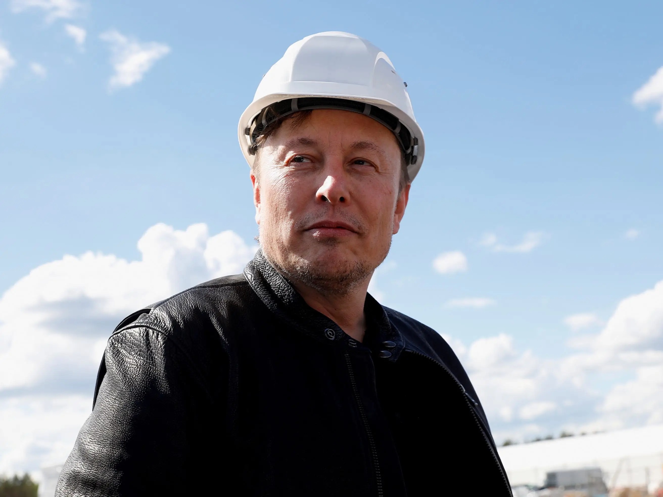 Elon Musk canh bao tinh trang giam dan so anh 1