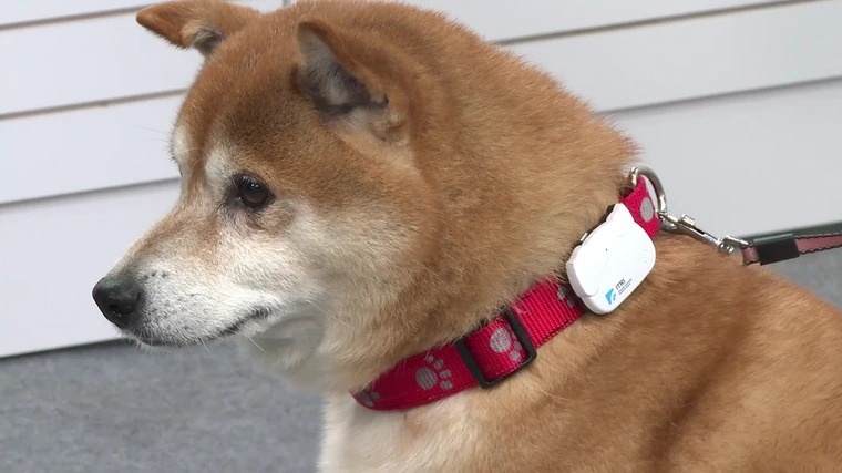 5 san pham cong nghe thu vi sap xuat hien tai CES 2022 anh 5