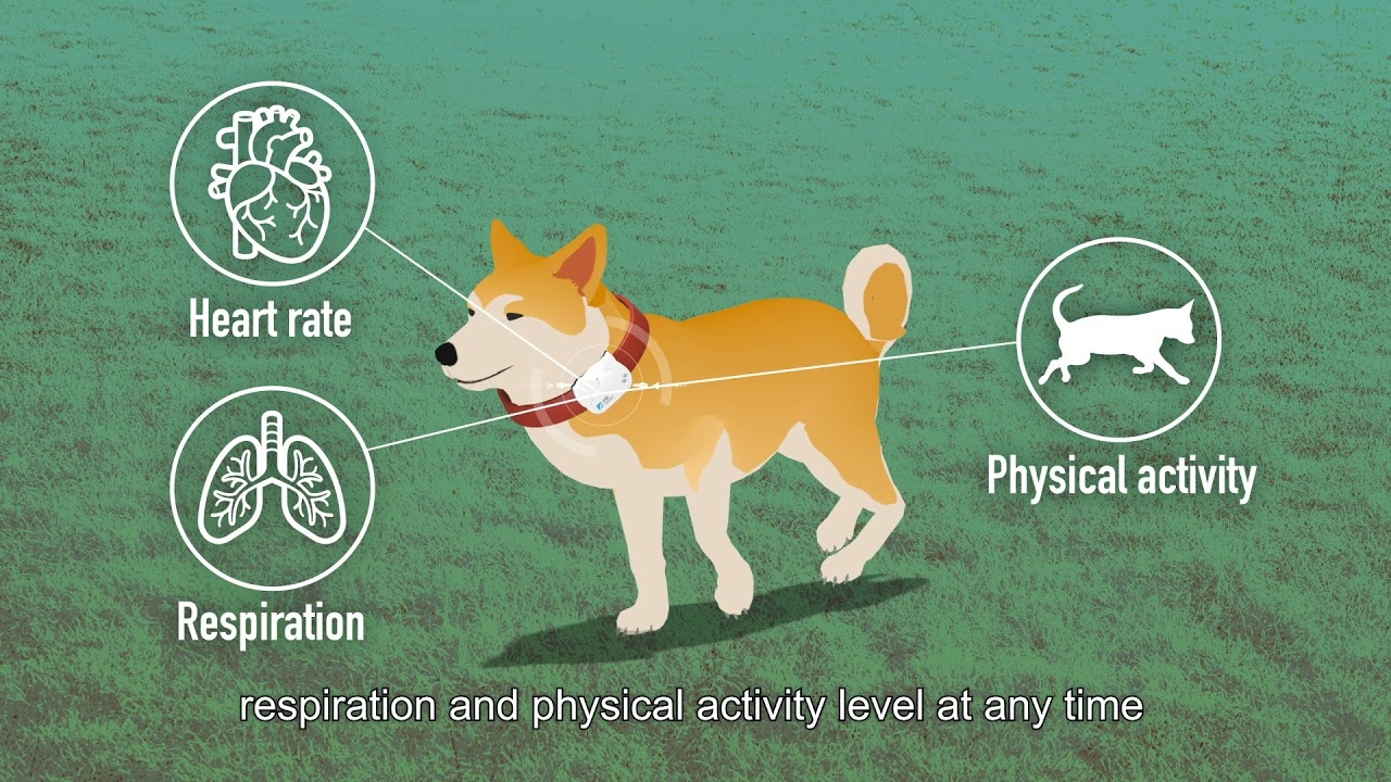 5 san pham cong nghe thu vi sap xuat hien tai CES 2022 anh 6