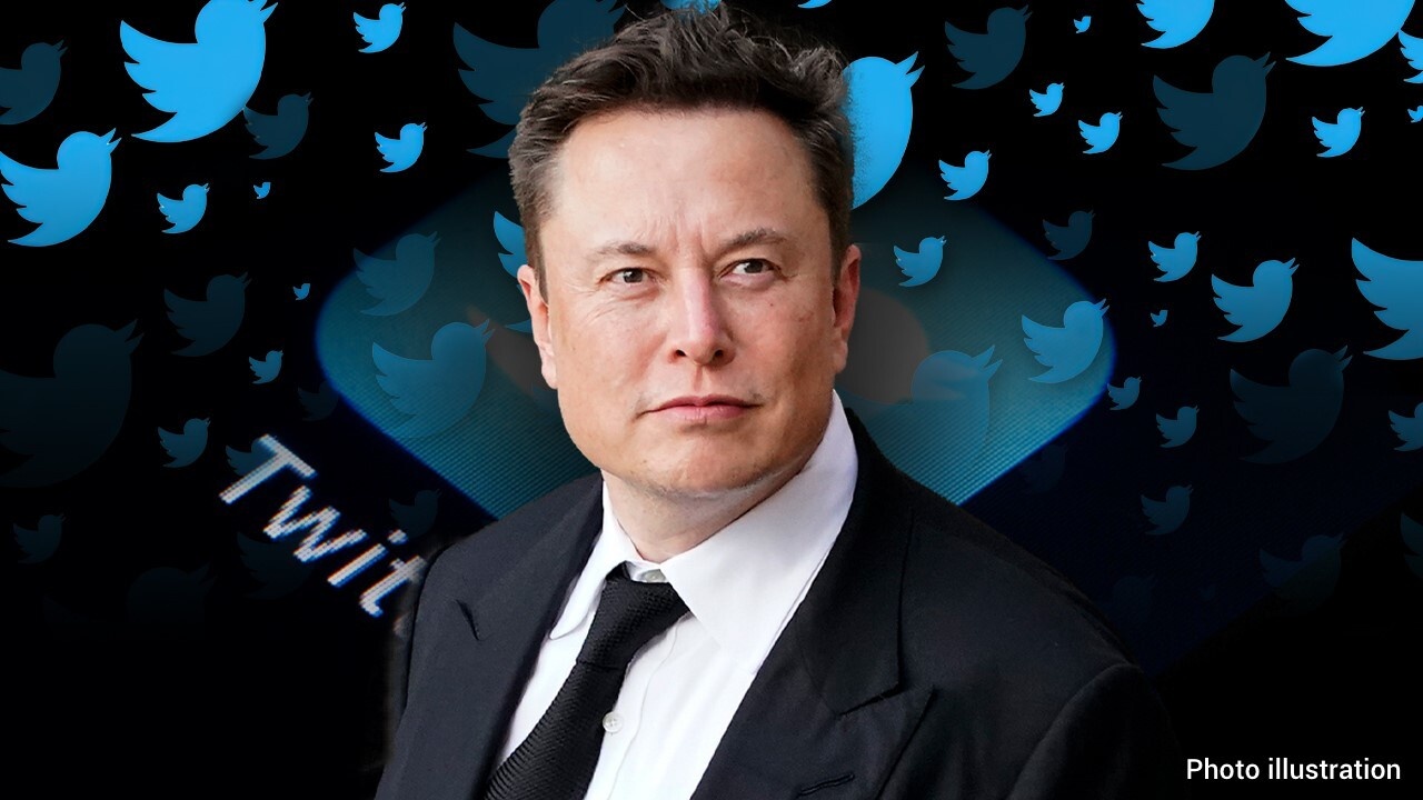 coin tang sau khi elon musk mua twitter anh 2