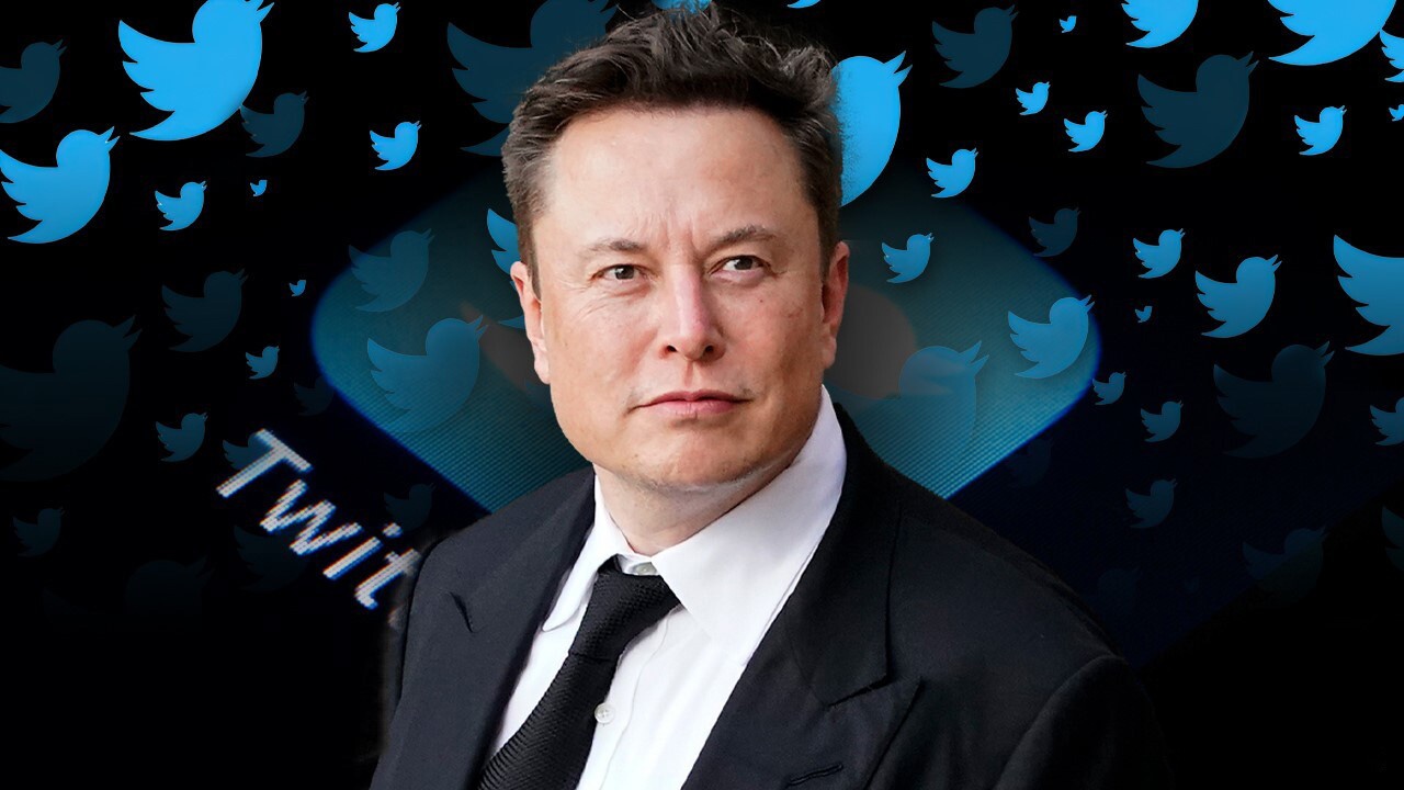 Loai tien so tang 115.000% sau khi Elon Musk mua Twitter hinh anh