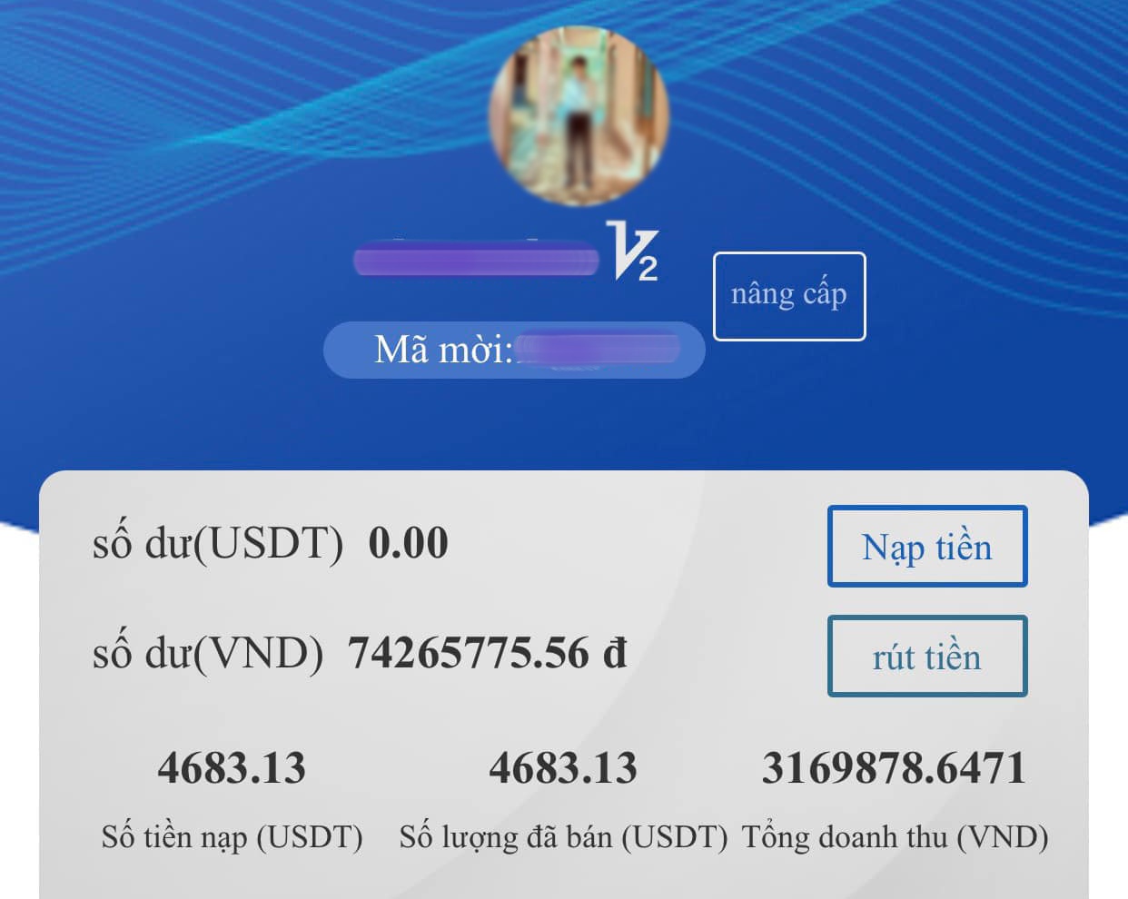 trang web gia mao VBU lua dao anh 1