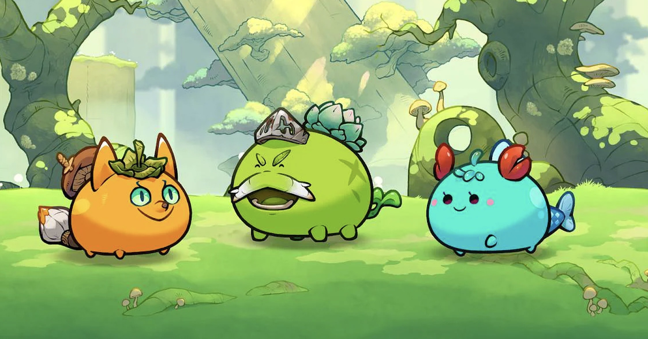 Nan nhan vu hack Axie Infinity sap duoc boi thuong hinh anh